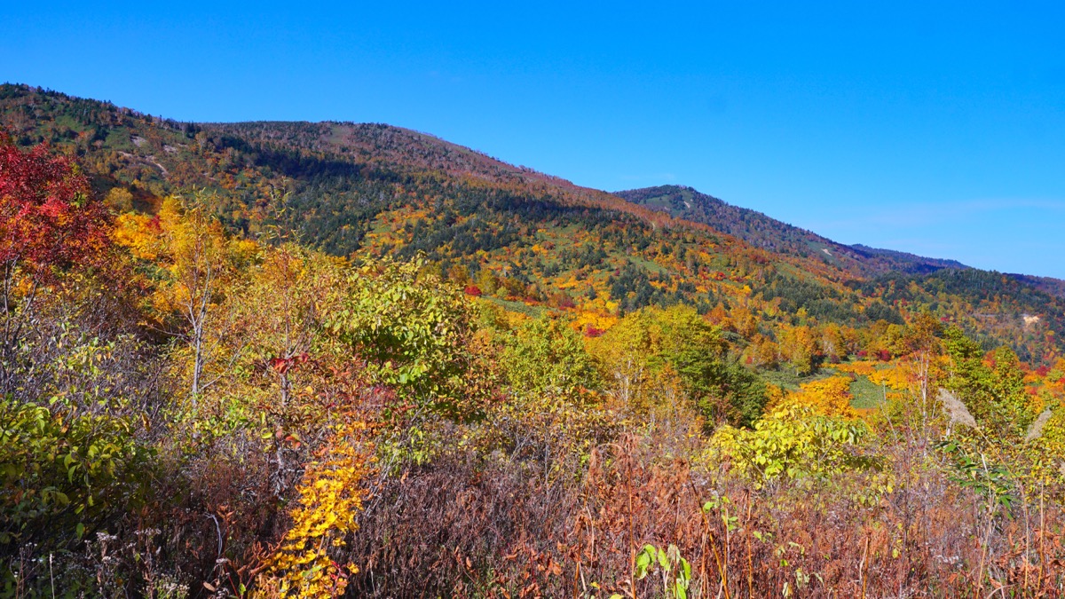 Hachimantai autumn