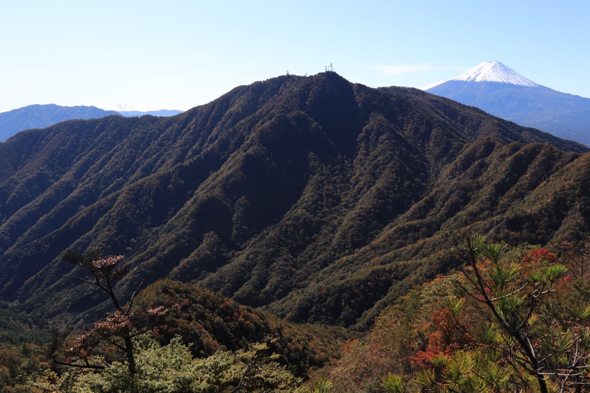 Mt. Fuji from Mt. Honjagamaru