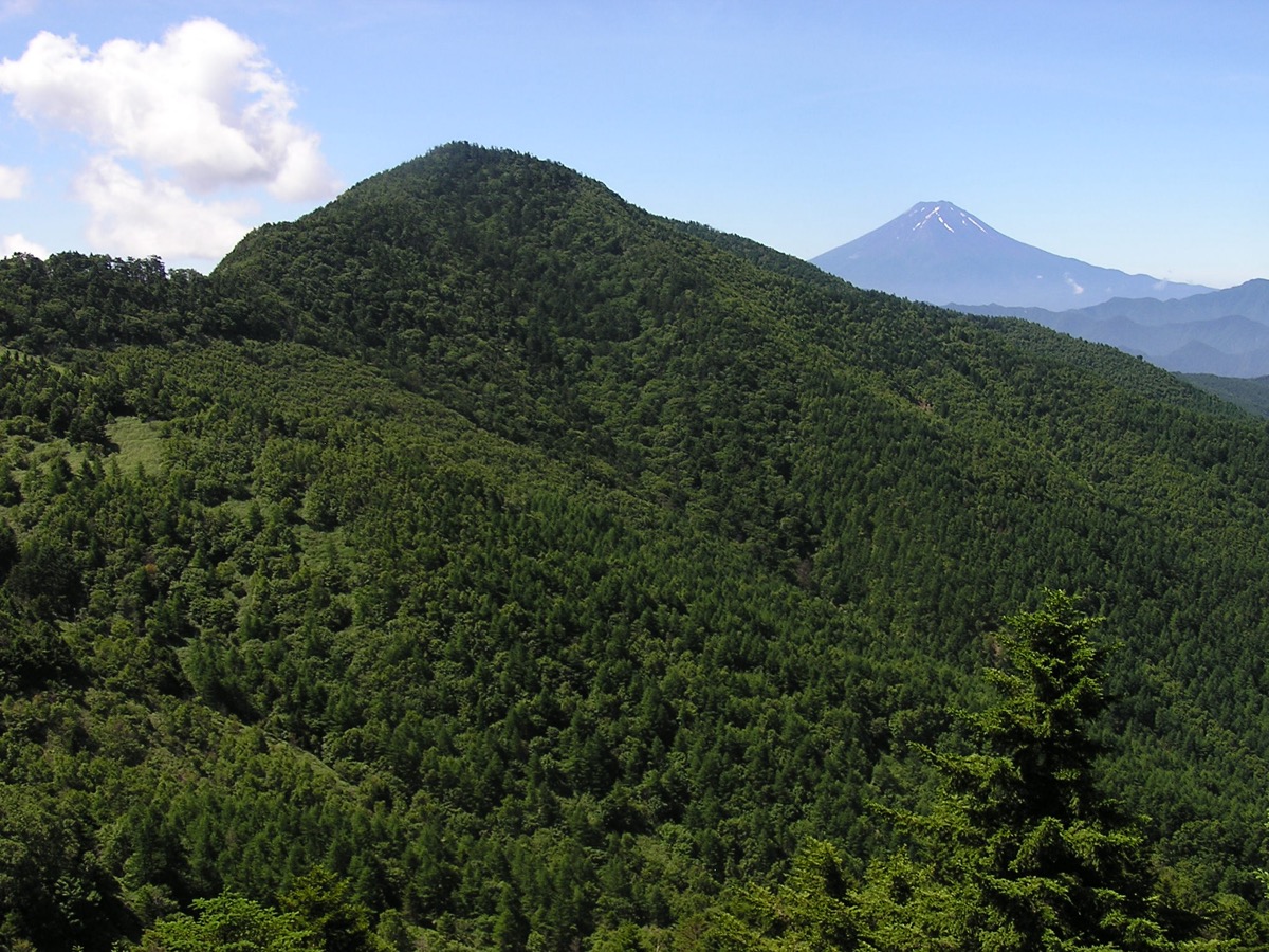 Mt. Fuji from Mt. Koganesawayama