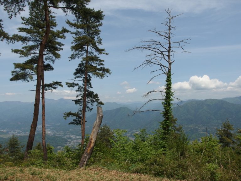Mt. Fuji from Mt. Kuratakeyama summit