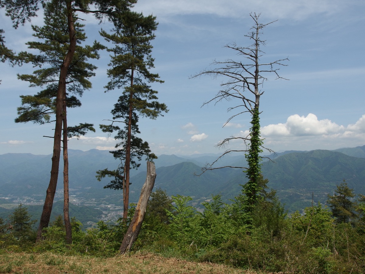 Mt. Fuji from Mt. Kuratakeyama summit