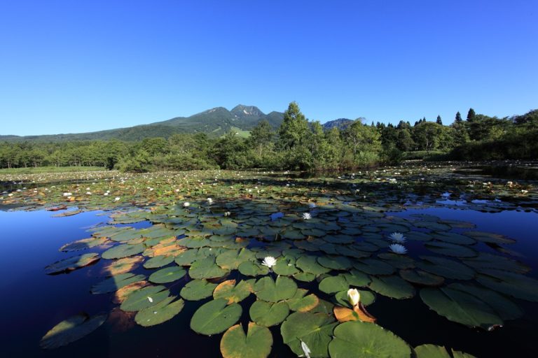Mt. Myoko from Imori-ike