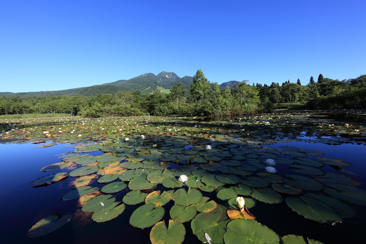 Mt. Myoko from Imori-ike