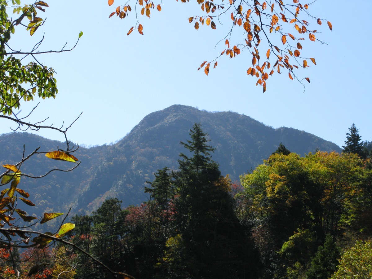 Mt. Arakai seen through autumn foliage