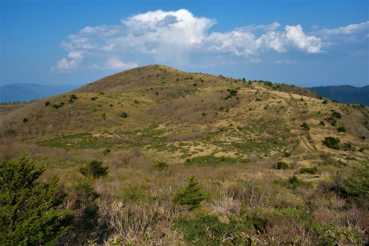 Mount Dōgo