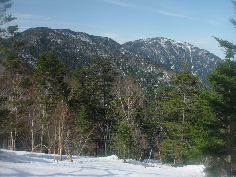 Mt. Hachimori seen from Nomugitoge ski resort