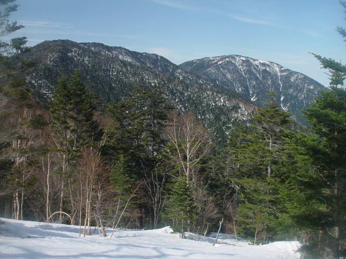 Mt. Hachimori seen from Nomugitoge ski resort