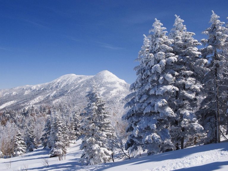 Mt. Iwasuge