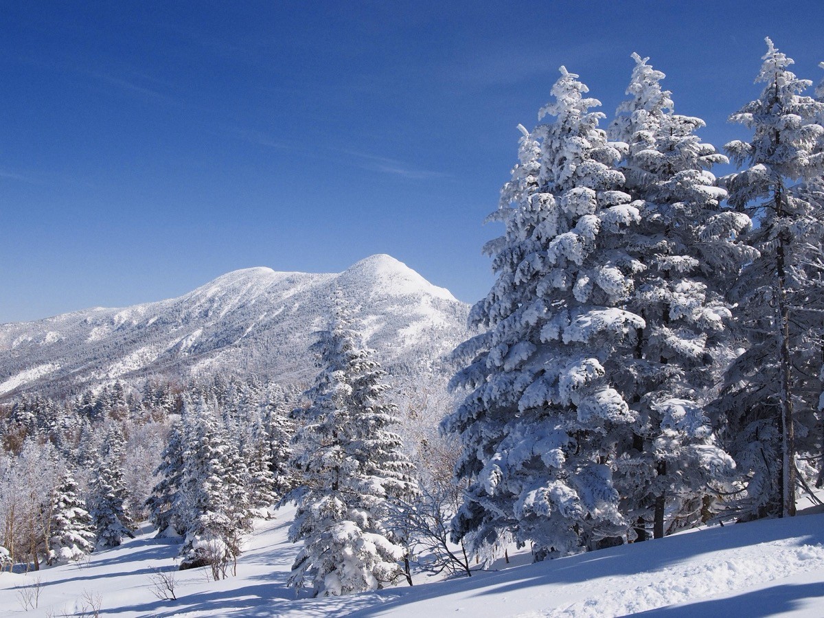 Mt. Iwasuge