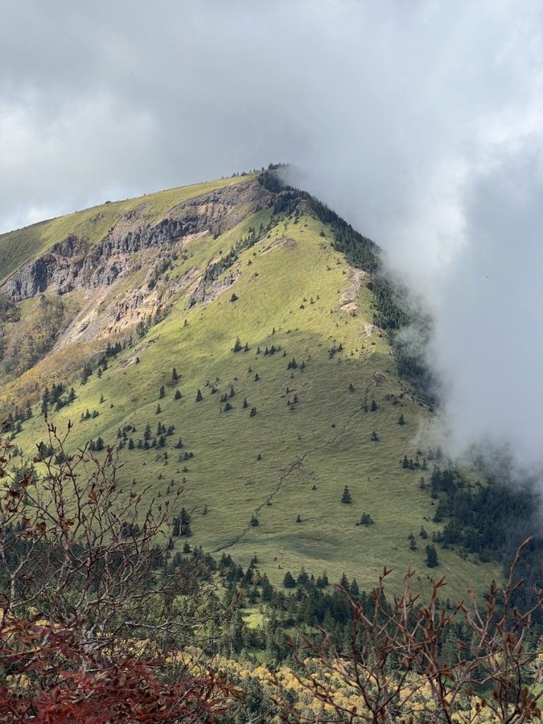Mount Neko