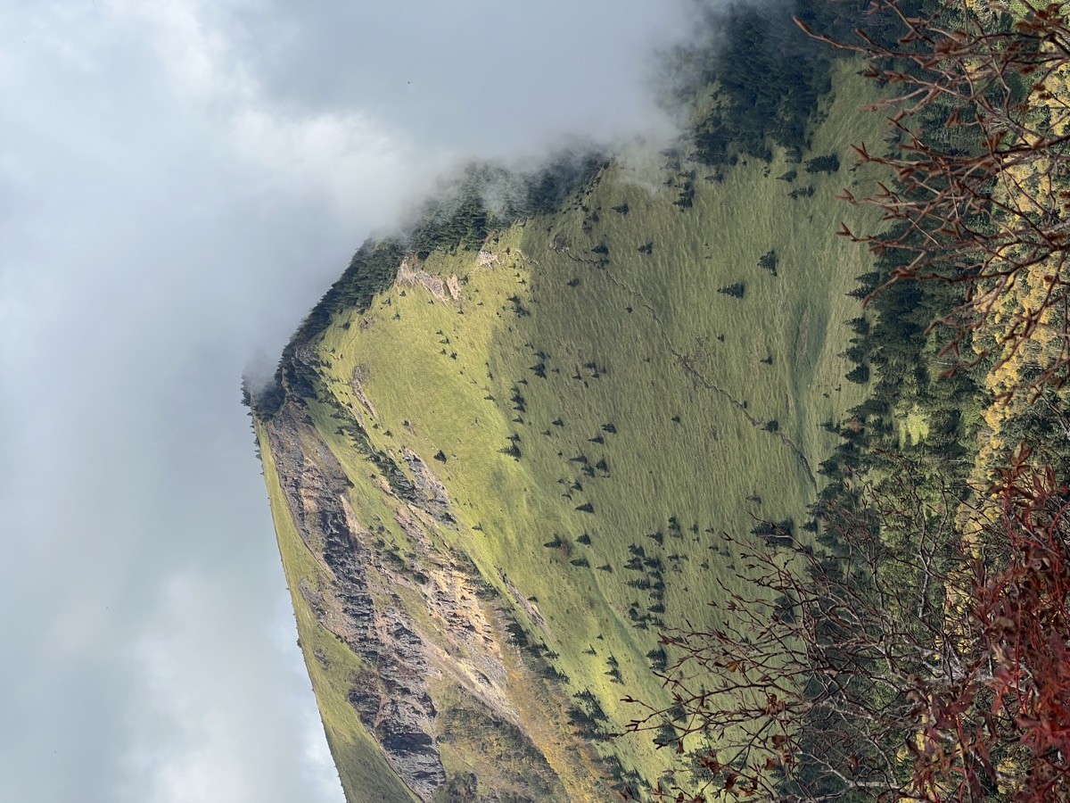 Mount Neko
