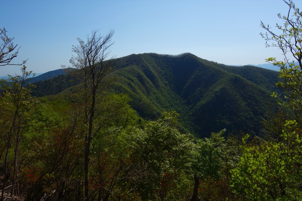 Mt. Obako seen from near Ushikubi peak