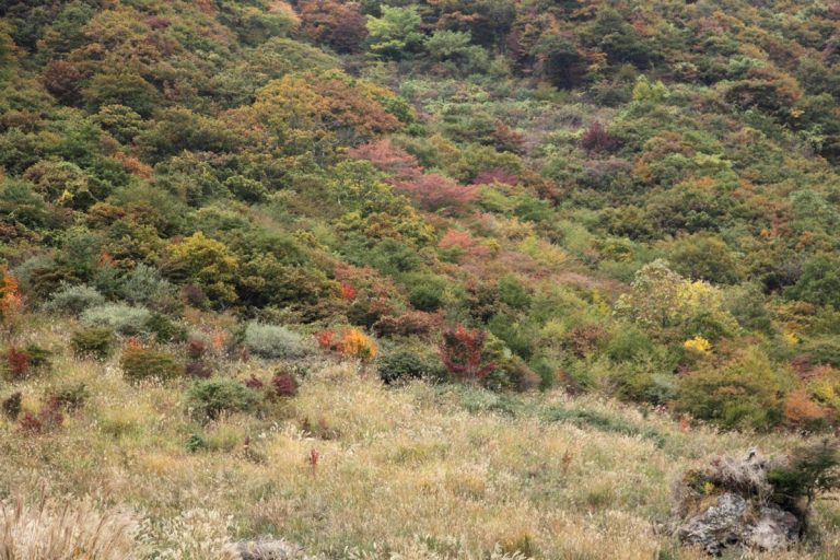 Mount Taisen