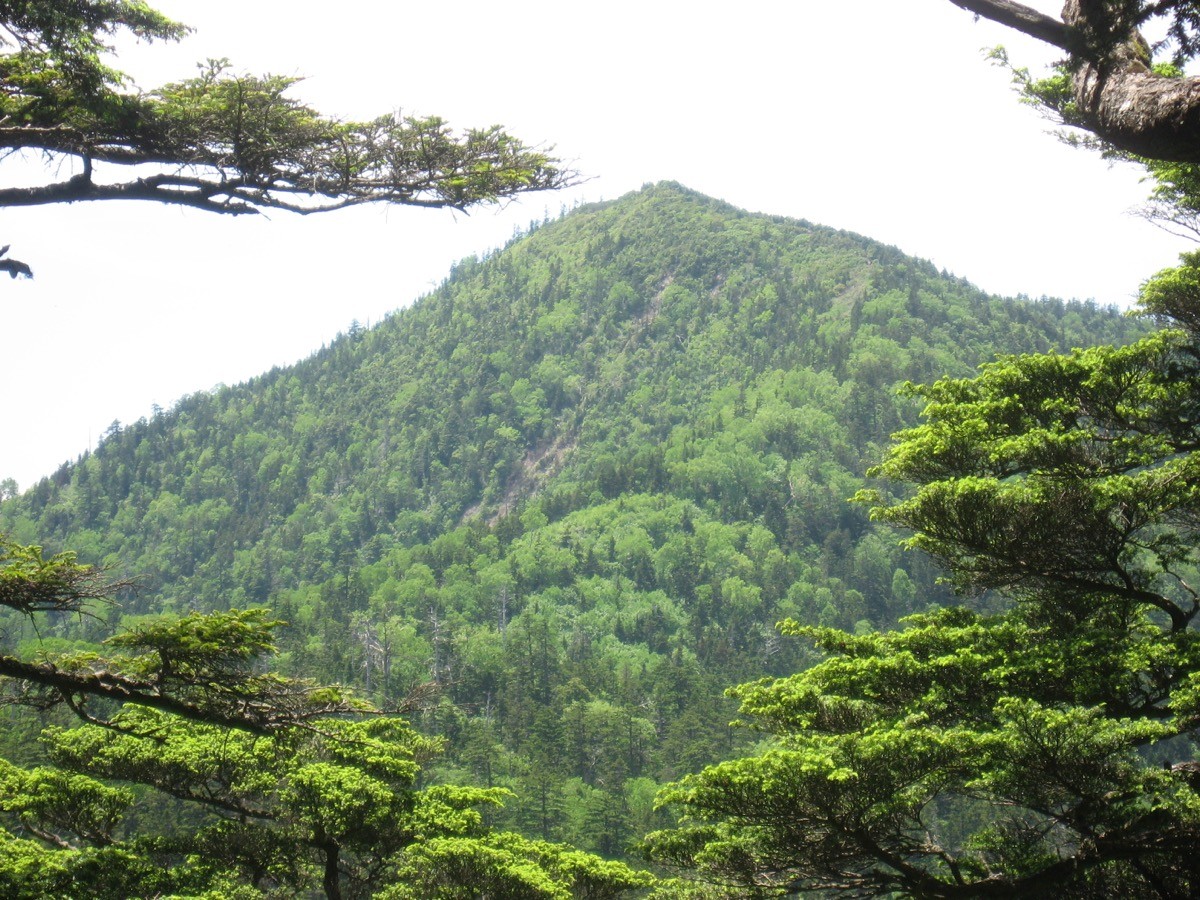 Mt. Taishaku