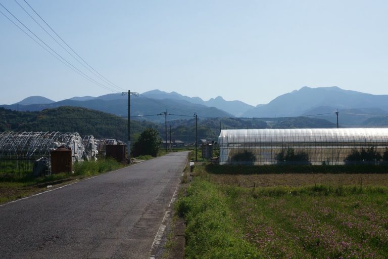 Mount Tara