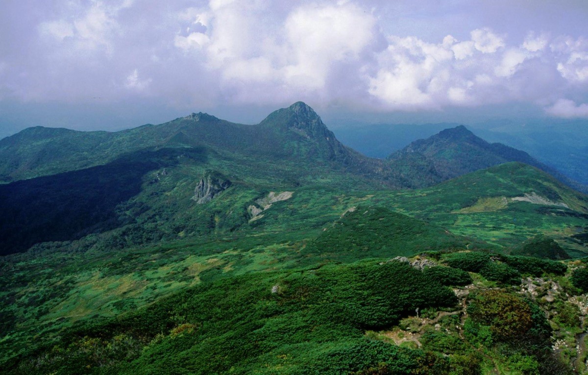 Serpentine landscape and alpine plants of Mt. Yubari